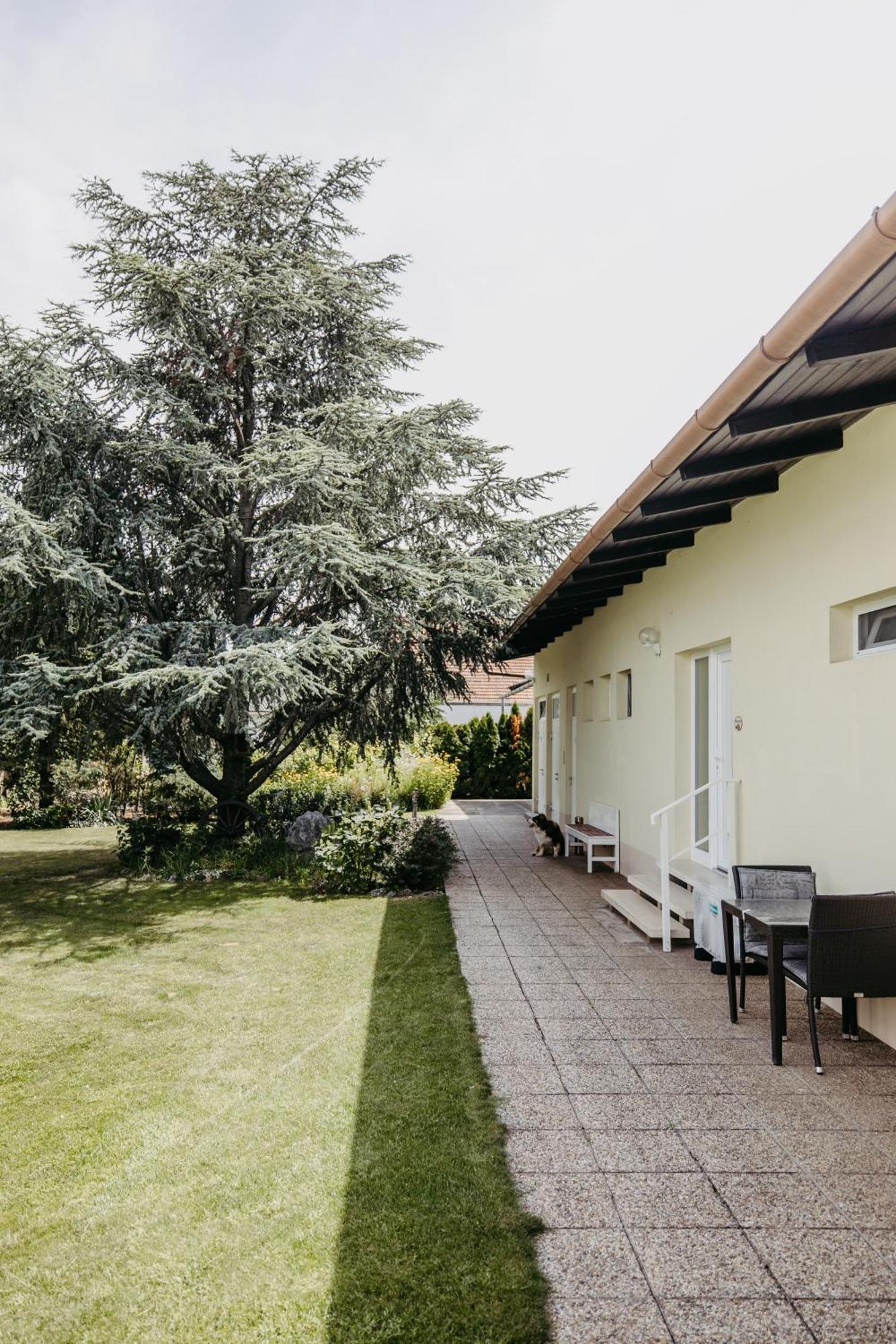 Gaestehaus Josef Lang Andau Екстериор снимка